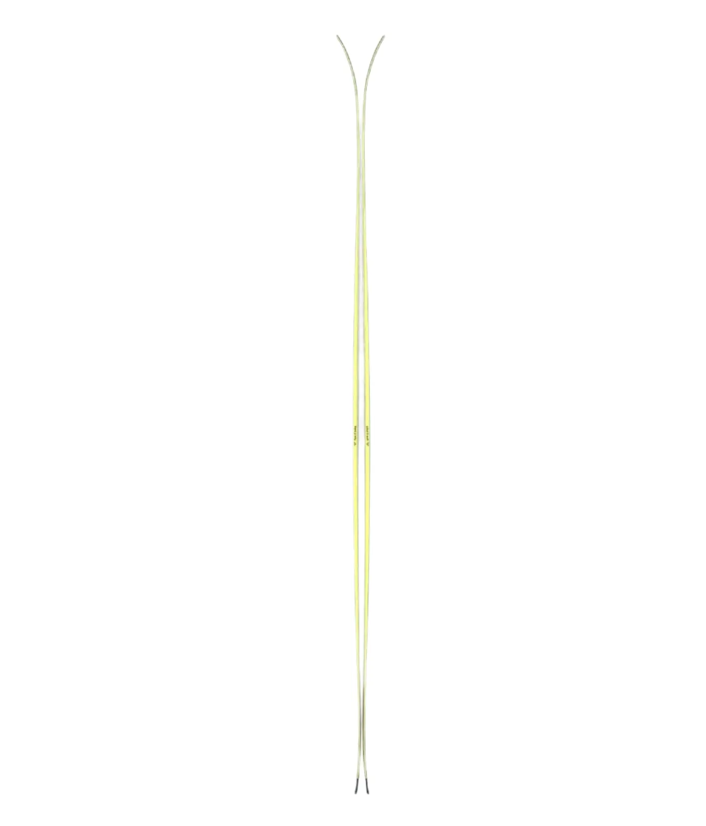 BLACK CROWS 2024 VERTIS BIRDIE